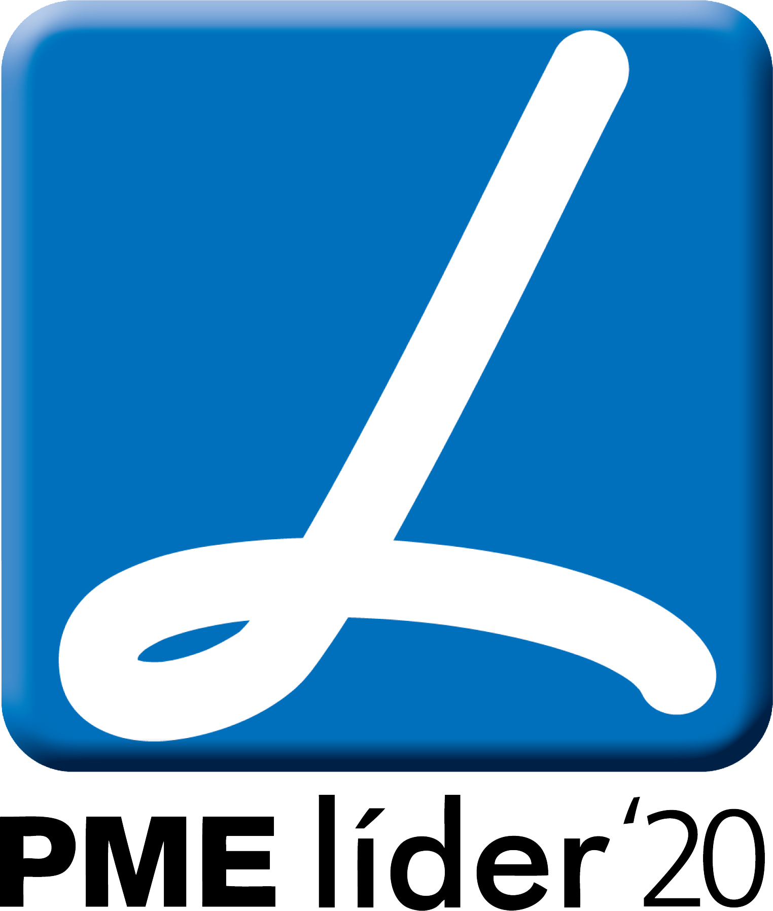 PME Lider 2020 3D cores 45x53